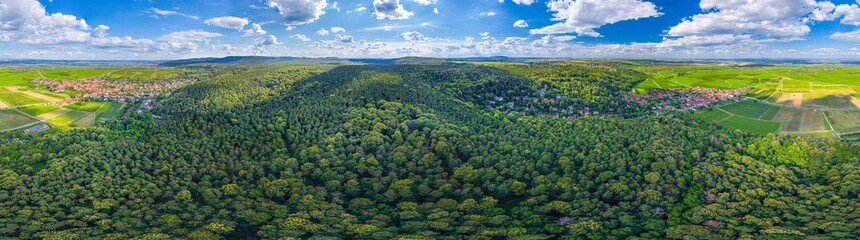 Obraz premium pfälzer forest 360° skypano