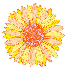 Yellow and orange outline sunflower line art isolated on white background. Hand drawing botanical vector illustration for logo design, cards, prints, farmhouse decor.