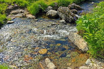 Naklejka na ściany i meble Clear water in the stream creek on meadow. Clean creek in the mountains in a green valley. Blurred motion of bubbling water in a stream