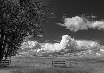 Clouds Over Spring Pasture