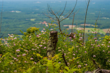 pilot mountain north carolina © Kensey