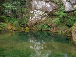 Naklejka na ściany i meble Little quiet pond, rocks and vegetation