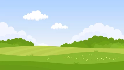 Poster Im Rahmen Summer green landscape. Fields, grass, flowers, forest and clouds. Vector illustration © magicmary