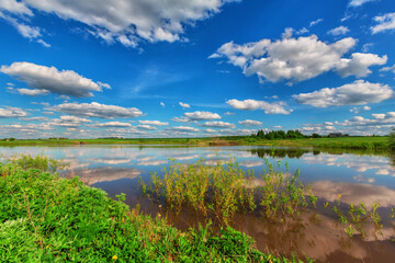 Mirror smooth of pond beneath blue cloudy sky in summer day
