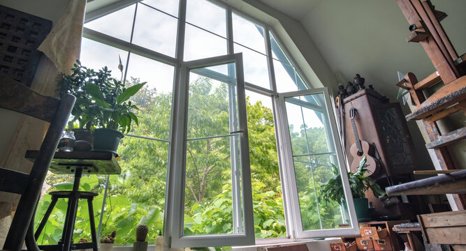 Sunlight Peeking Through The Large Window With Trees Background Outside