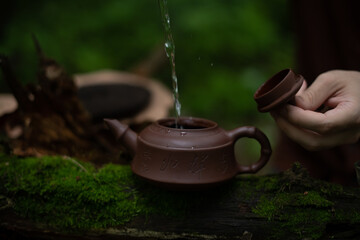 Man pouring water in Chinese teapot on log with moss during tea ceremony in forest 