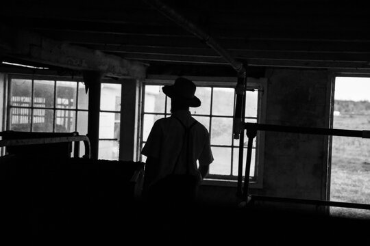 Amish farmer in silhouetted and unrecognisable milking shed, Lancaster County, PA.