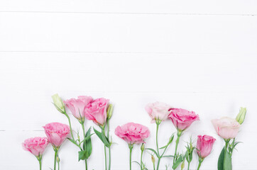 Pink eustoma flowers on white background