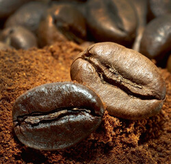 Roasted coffee beans at heap of milled coffee close-up.