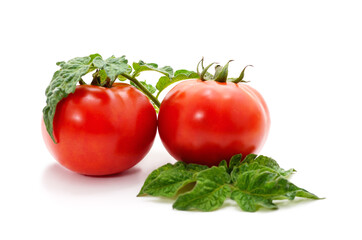 Ripe red tomatoes.