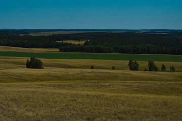landscape with hay bales