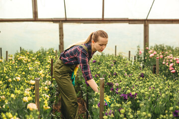 Beautiful gardener woman working on flowers in greenhouse. Small floral business.