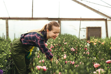 Fototapeta na wymiar Beautiful gardener woman working on flowers in greenhouse. Small floral business.