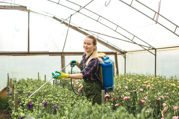 

Gardener woman spraying flower in greenhouse. Intended for spraying liquid fertilizers and pest control solutions.