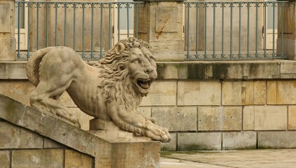 lion in the door © gelu