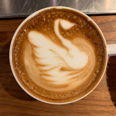 Beautiful swan in the creme of a coffee latte in Seattle, Washington