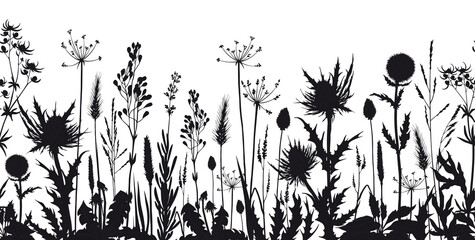 Seamless horizontal banner with wild flowers and thistle silhouettes.