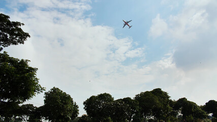 Take-off aircraft on the background of trees in the Indonesian village.