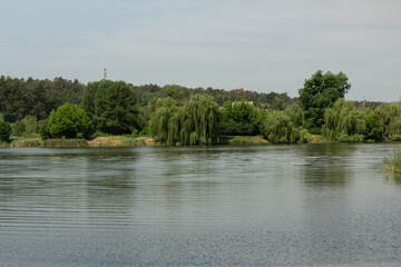 beautiful view of the forest and lake