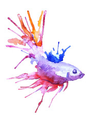 watercolor bright colored fish on white background