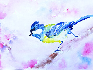 watercolor tit on a branch on a pink background