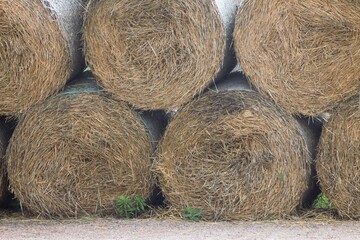 Shabo Village and Winery