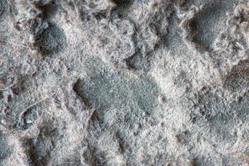 Macro dust and garbage from vacuum cleaner