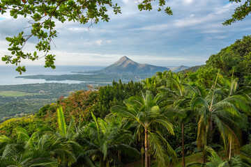 Fototapeta na wymiar Tropical landscape with trees and palms. Beautiful mountain and blue sky.