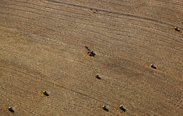 Fototapeta na wymiar Cape Town, Western Cape / South Africa - 04/06/2017: Aerial photo of hay bales and livestock