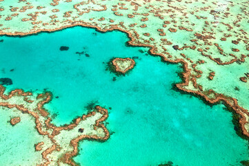 Fototapeta na wymiar Heart Reef, Great Barrier Reef, Australien, Luftaufnahme