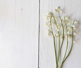 Lily of the valley isolated on white painted wooden board. Top view.