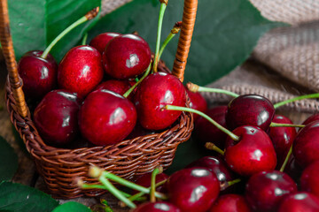 Red ripe sweet cherries. Tasty and healthy food. Sweet berry. Close-up