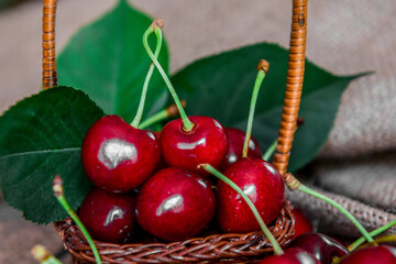 Red ripe sweet cherries. Tasty and healthy food. Sweet berry. Close-up