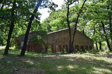 old abandoned ruined building in the forest