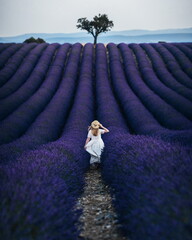 Young beautiful girl in a hat and dress among the purple lavender field. The most beautiful lavender fields of Valensole Provence France.