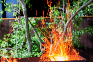 the flame of a fire from a campfire in nature. sparks in the night. tongue of flame. a beautiful...