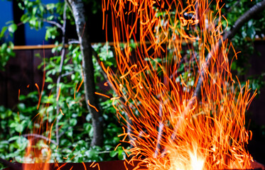 the flame of a fire from a campfire in nature. sparks in the night. tongue of flame. a beautiful...