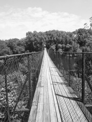 Fototapeta premium bridge over the river