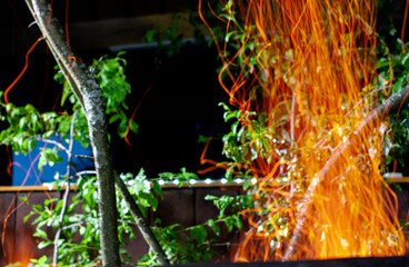 the flame of a fire from a campfire in nature. sparks in the night. tongue of flame. a beautiful...