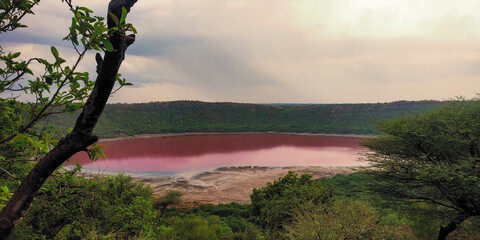 Pink Lonar Crater at Buldhana Maharashtra India - obrazy, fototapety, plakaty