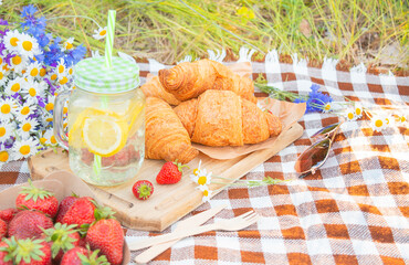 Summer picnic on the grass with a drink, strawberries, croissants on a checkered bedspread. Summer concept. Side view . Copy space.