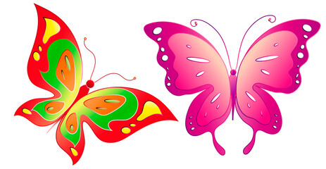 butterfly671