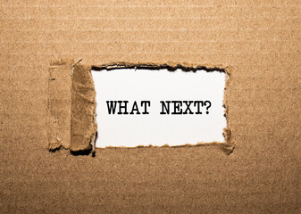 The text what next. behind torn brown paper