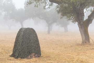Portable hunting photo hide in a foggy day at the forest. Fog in the Dehesa - the ideal place and...