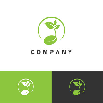 Creative growing seed logo for agriculture, farming, gardening business.
