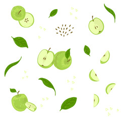 Green Apple drawing set. Whole apple, apple's side, stem end, interior, leaves, seeds, half apple vector illustration pattern