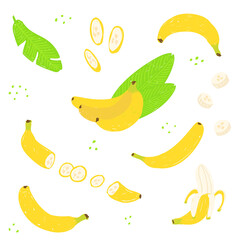 Banana pattern. Whole banana, cut into segments, cavendish banana leaves, bunch of bananas vector illustration set. Banana trendy collection