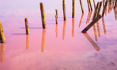 Conceptual photo on a pink lake. Wooden piles stick out from the pink water. Pink water passes into the sky. Copy space for text.