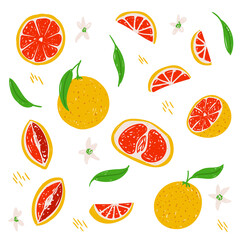 Grapefruit vector illustration set. Whole grapefruit, half, section, cut, sliced, flower, leaf isolated on white background. Grapefruit collection template