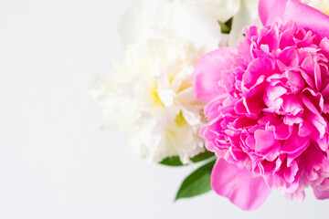 Beautiful bouquet of peonies, pink and white peonies floral background
